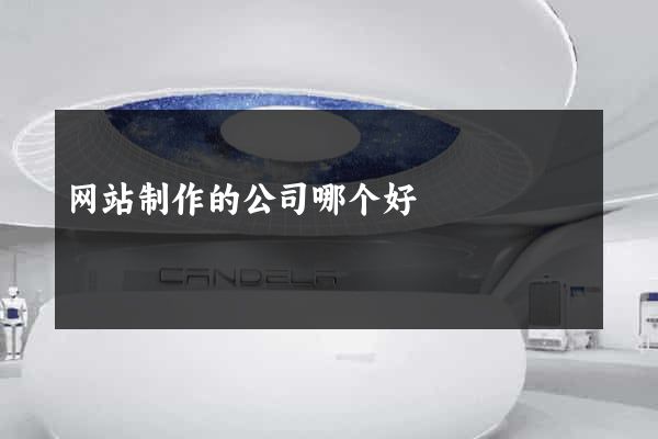 网站制作的公司哪个好