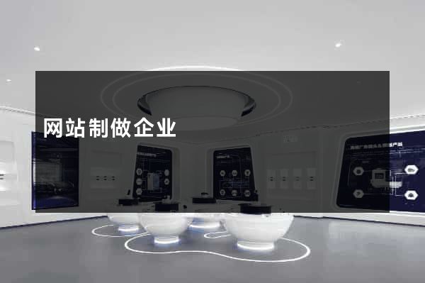 网站制做企业