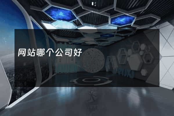 网站哪个公司好