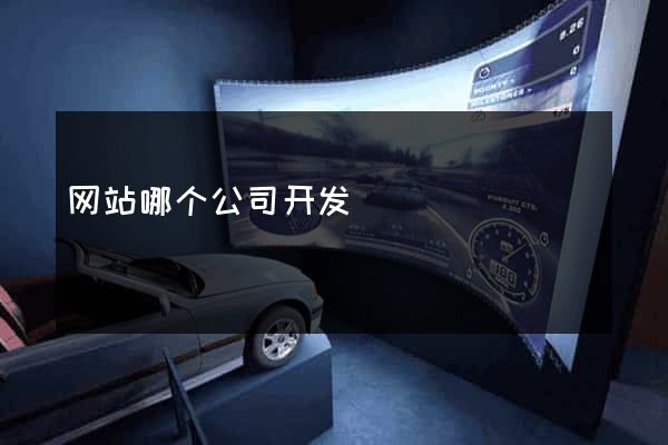 网站哪个公司开发