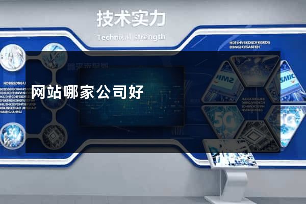 网站哪家公司好