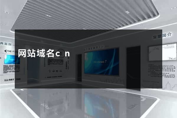网站域名cn