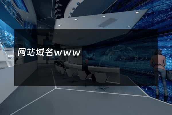 网站域名www