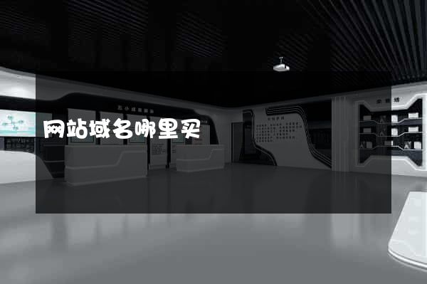 网站域名哪里买