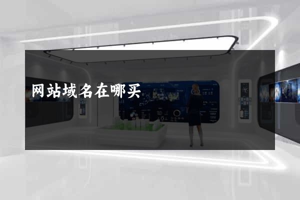 网站域名在哪买