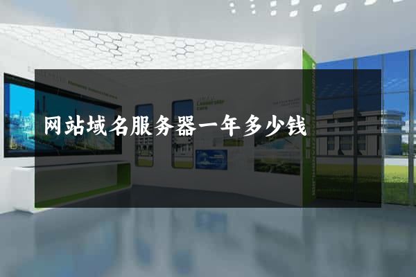 网站域名服务器一年多少钱