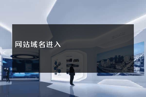 网站域名进入