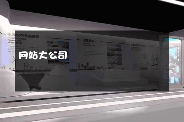 网站大公司