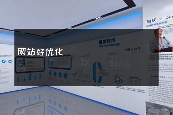 网站好优化