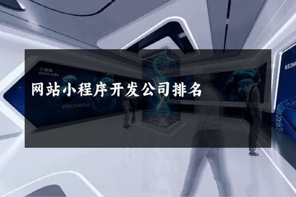 网站小程序开发公司排名