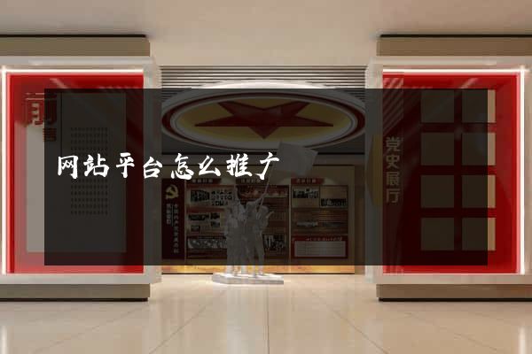 网站平台怎么推广