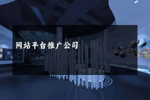 网站平台推广公司