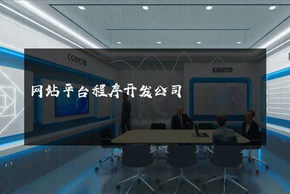 网站平台程序开发公司
