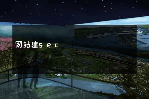 网站建seo