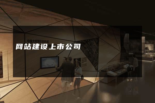 网站建设上市公司