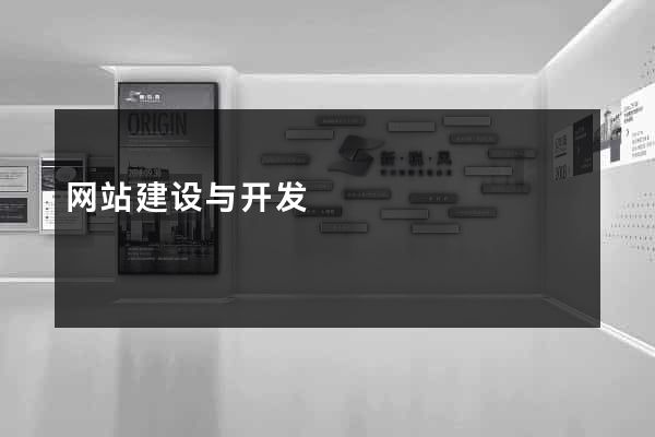 网站建设与开发