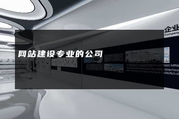 网站建设专业的公司