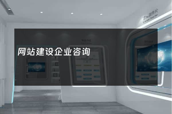 网站建设企业咨询