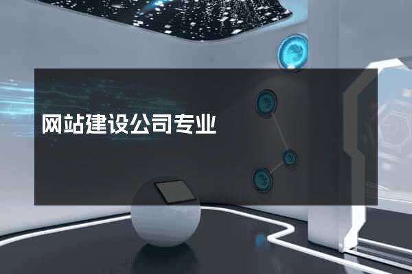 网站建设公司专业