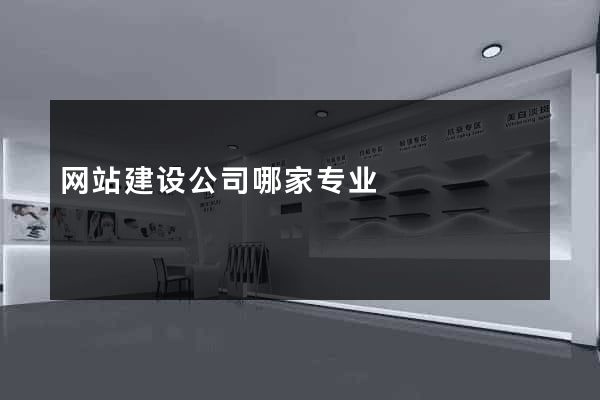 网站建设公司哪家专业