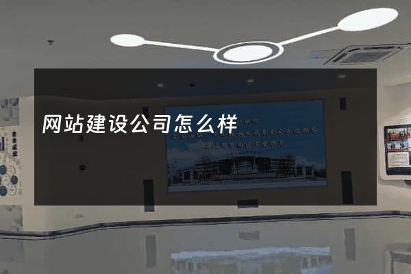 网站建设公司怎么样