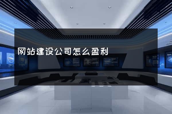 网站建设公司怎么盈利