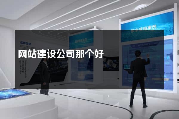 网站建设公司那个好