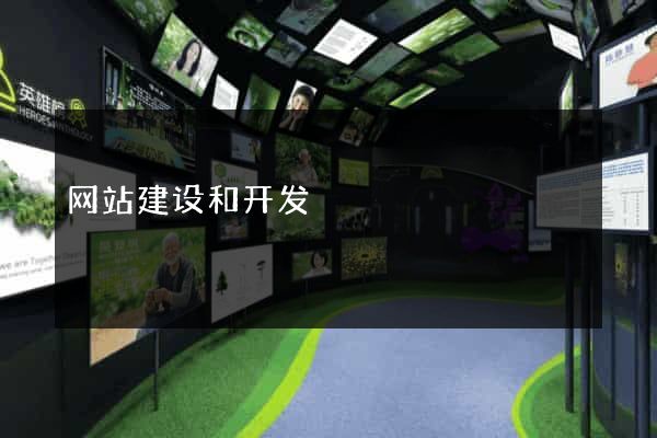 网站建设和开发