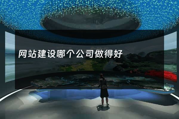 网站建设哪个公司做得好