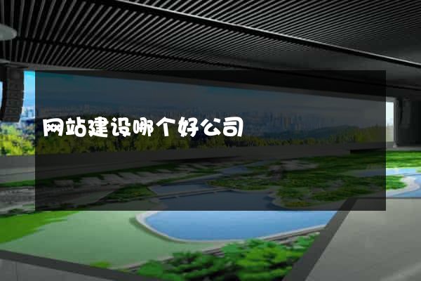 网站建设哪个好公司