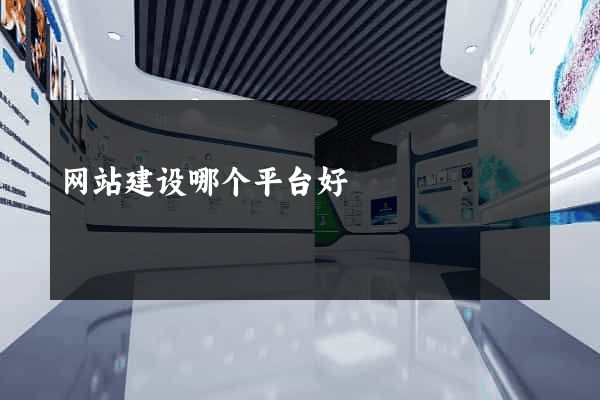 网站建设哪个平台好