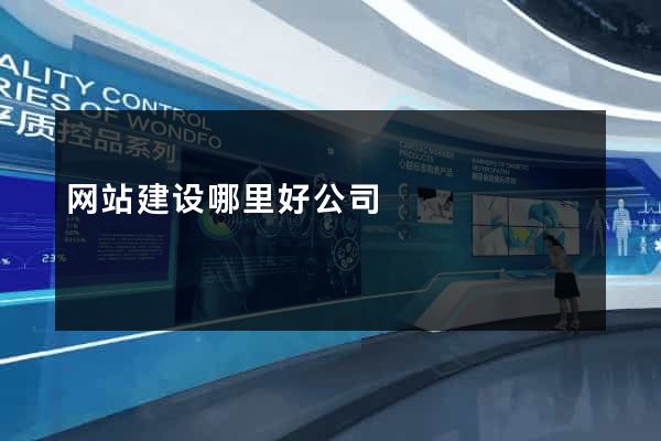 网站建设哪里好公司