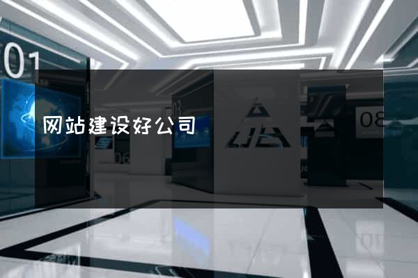 网站建设好公司