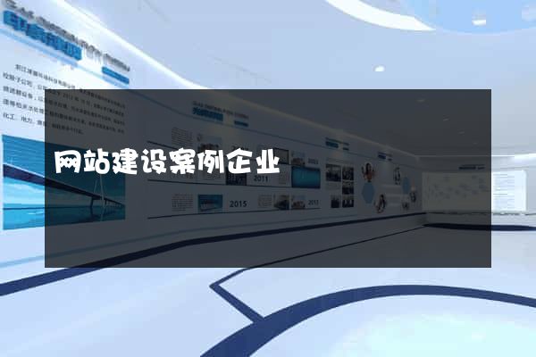 网站建设案例企业