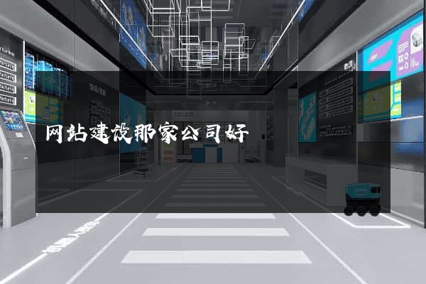 网站建设那家公司好