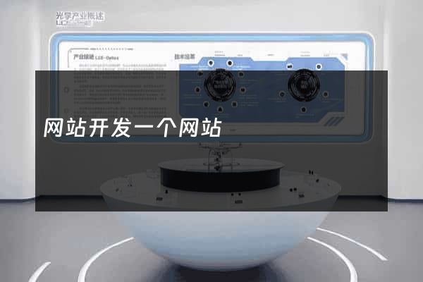 网站开发一个网站