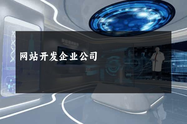 网站开发企业公司