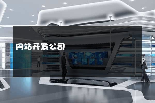 网站开发公司
