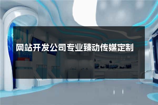 网站开发公司专业臻动传媒定制