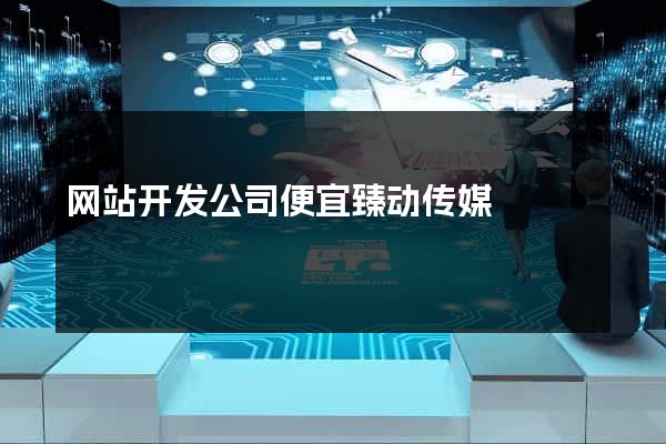 网站开发公司便宜臻动传媒