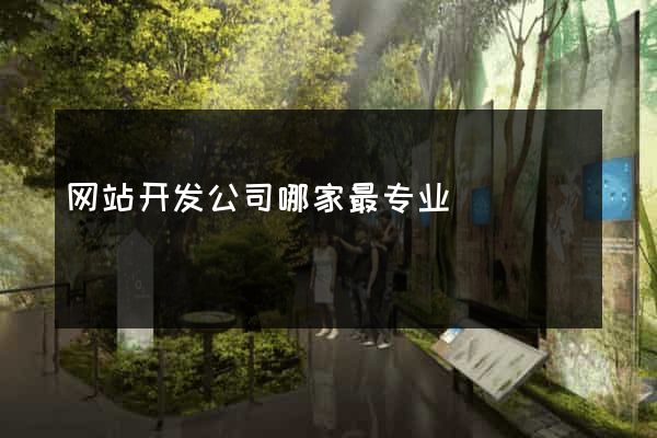 网站开发公司哪家最专业