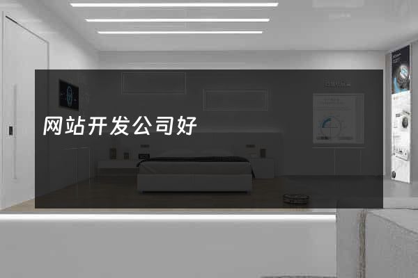 网站开发公司好