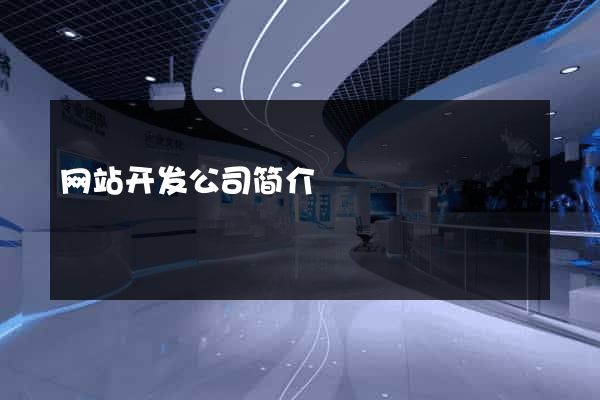 网站开发公司简介