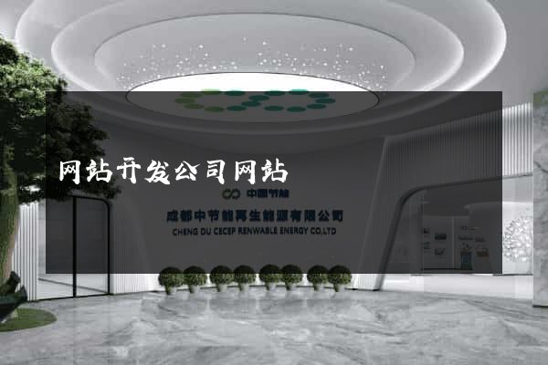 网站开发公司网站