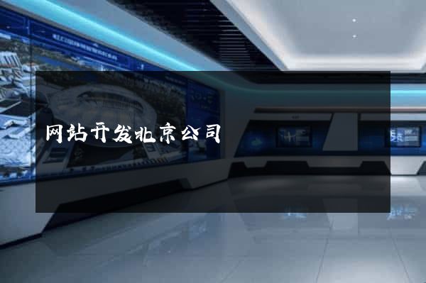 网站开发北京公司