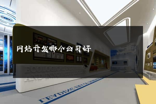 网站开发哪个公司好