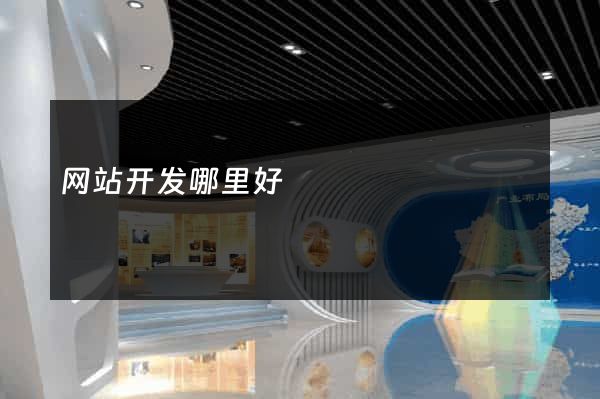 网站开发哪里好