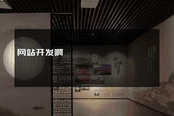 网站开发啊