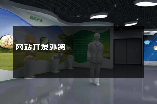 网站开发外贸