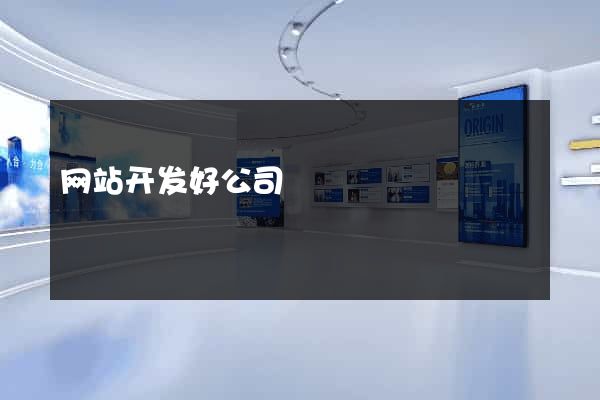 网站开发好公司